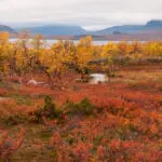 Red and yellow golden warm autumn meadow landscape in Lapland with small river and lake. Good backround image.